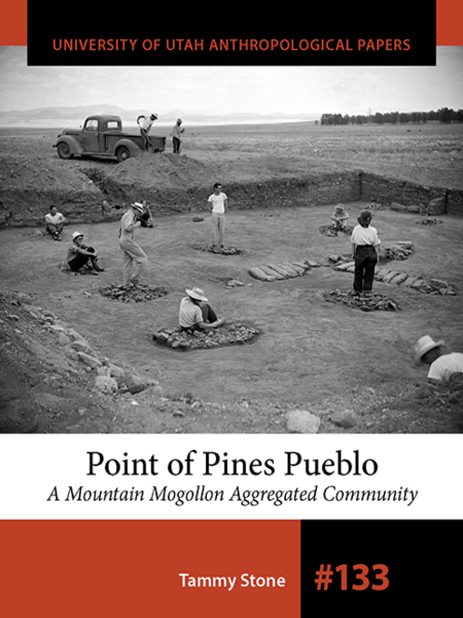 Title details for Point of Pines Pueblo by Tammy Stone - Available